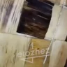 Ұлытау облысында дәмханадан тарақан шықты: тұрғын СЭС-ке шағымданбақ