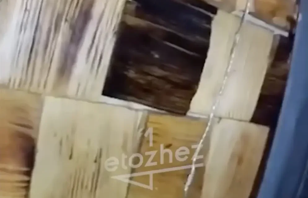 Ұлытау облысында дәмханадан тарақан шықты: тұрғын СЭС-ке шағымданбақ