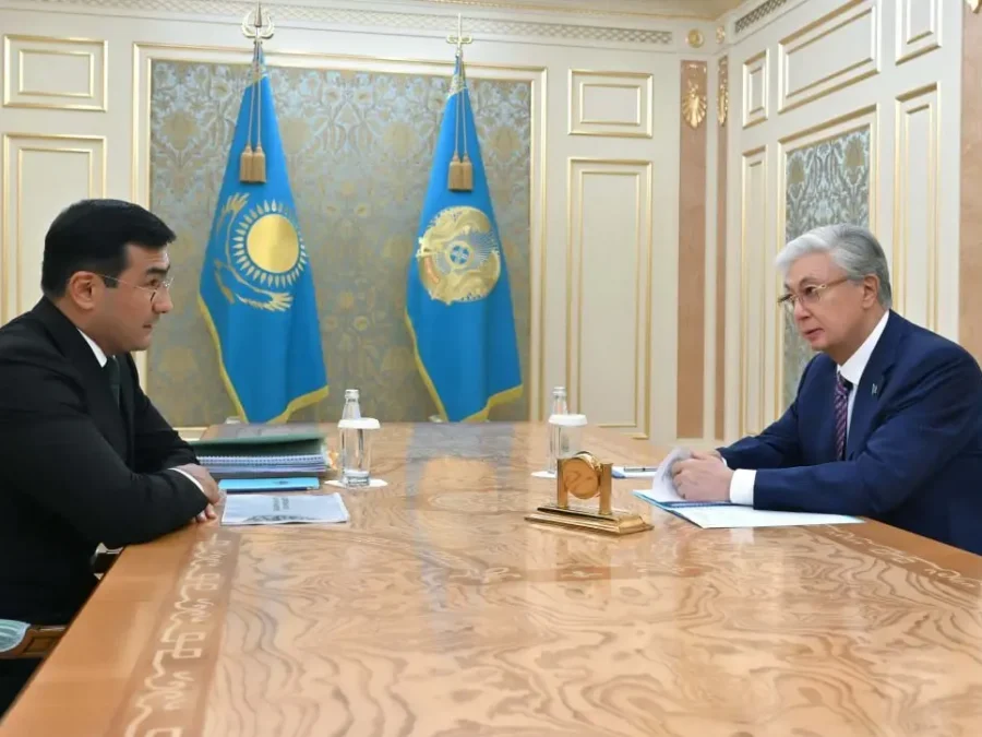 Президент «Бәйтерек» холдингінің басшысын қабылдап, даму жоспарларын тыңдады