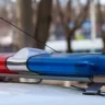 Меркіде 8 айлық сәбидің анасы қайтыс болды