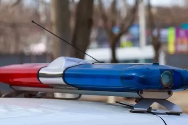 Меркіде 8 айлық сәбидің анасы қайтыс болды