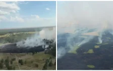 Қазақстанда 9 тамызда екі орман өрті тіркелді