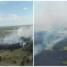 Қазақстанда 9 тамызда екі орман өрті тіркелді