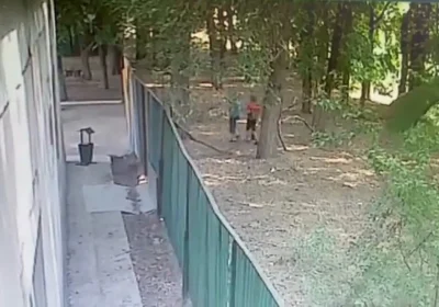 Алматы облысында үш иттің оқушыға шабуылы бойынша сот басталды