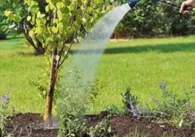 Суға талас: Жезқазған тұрғындары әкімдіктің әрекетіне наразы