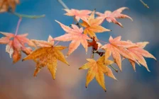 Қазақстанның барлық өңірінде 7 қыркүйекке дауылды ескерту жарияланды