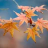 Қазақстанның барлық өңірінде 7 қыркүйекке дауылды ескерту жарияланды