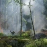 Қазақстанда бір тәулікте төрт орман өрті тіркелді