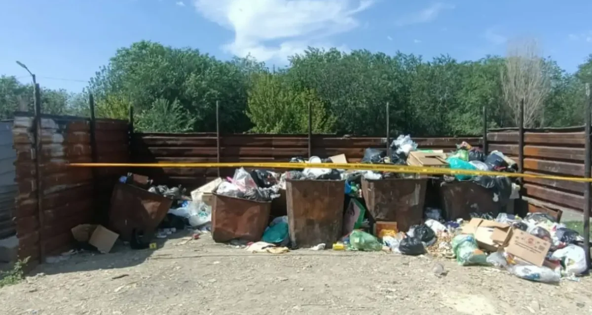 Көкек ана: Қордайда жаңа туған шақалақты қоқыс жәшігіне лақтырған қыз ұсталды
