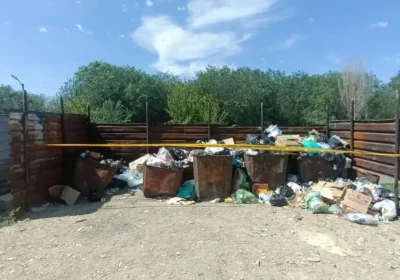 Көкек ана: Қордайда жаңа туған шақалақты қоқыс жәшігіне лақтырған қыз ұсталды