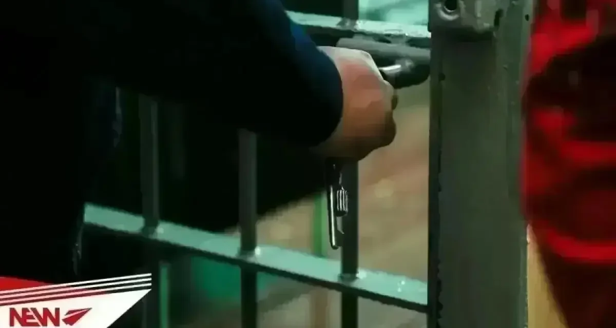 Қазақстанда көліктен қатты музыка мен былапыт сөз айтылса, қамауға алынуы мүмкін