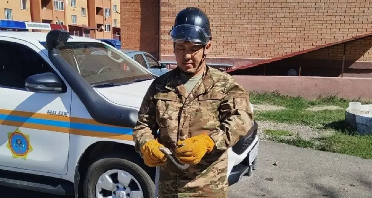 Қарағанды облысында үйлердің бірінің аумағынан жылан шықты (ВИДЕО)