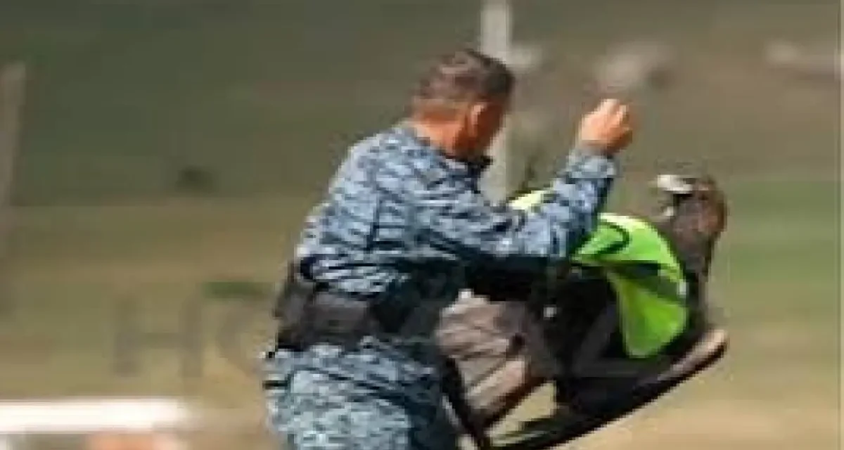 Көшпенділер ойындарында бүркіт полицейге шабуыл жасады (ВИДЕО)