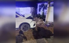 Арыста мас күйде жүкті келіншек пен екі баланы қағып өлтірген мұғалім әйел тоғыз жылға сотталды