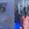 «Өзенге апарып, ұрып өлтірді»: Таразда жас дәрігерді үш жігіт жабылып өлтірген
