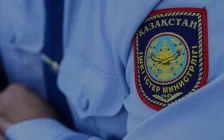 Туған күйеу баласын атып тастаған полицей 10 жылға сотталды