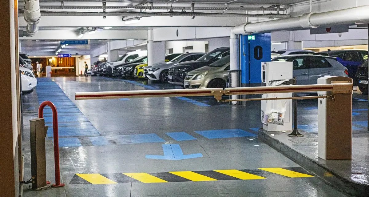 Айыппұлы 1,7 млн теңге: Алматыда қырғызстандық BMW көлігінің жүргізушісі тұрақты түрде жол ережесін бұзып келген