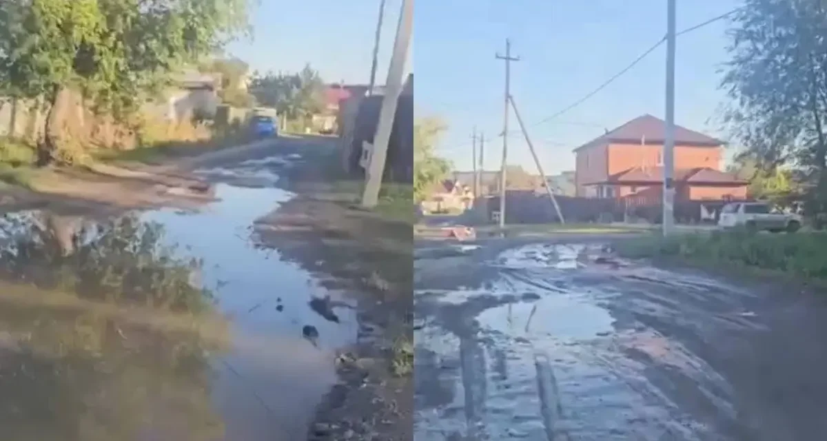Петропавл тұрғындары батпақ кешіп жүр: халық көшенің жағдайына шағымданды