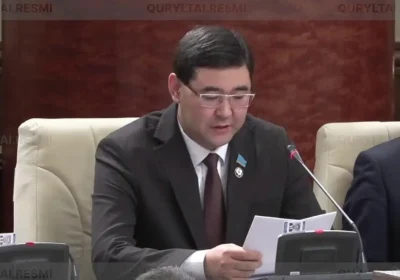 «Құбырдан су кетіп, қабырға жарылады»: депутаттар жаңа үйлердің сапасын сынға алды