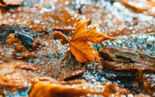 7 қыркүйекте еліміздің бірнеше аймағында ауа райының құбылуы күтіледі