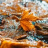 7 қыркүйекте еліміздің бірнеше аймағында ауа райының құбылуы күтіледі