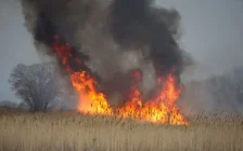 Баянауылдағы өртті сөндіруге әуе кемелері жұмылдырылды
