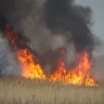 Баянауылдағы өртті сөндіруге әуе кемелері жұмылдырылды