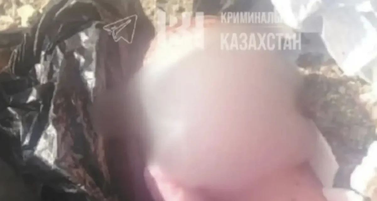 Қордайда қоқыстан сәби табылды