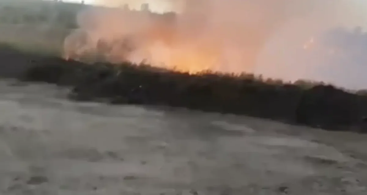 10 гектар жер өртенді: Рудный маңындағы алапат өрт құс фабрикасына қауіп төндірді