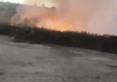 10 гектар жер өртенді: Рудный маңындағы алапат өрт құс фабрикасына қауіп төндірді