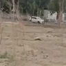 «Су жоқ, ағаштар қурап жатыр»: Балқаштағы саябақтың жағдайы тұрғындарды алаңдатты