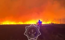 Петропавл маңындағы қоқыс полигонында өрт: 6 гектар аумақ жанып жатыр
