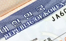 Шымкентте 12 миллион теңгеге Корея визасын рәсімдеу айыптауы бойынша әйел ақталды