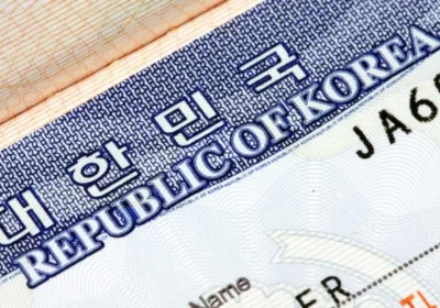 Шымкентте 12 миллион теңгеге Корея визасын рәсімдеу айыптауы бойынша әйел ақталды