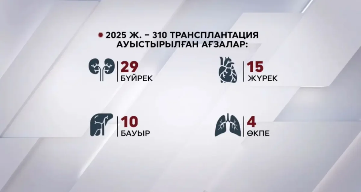 Бес мыңға жуық науқасқа ағза трансплантациясы қажет