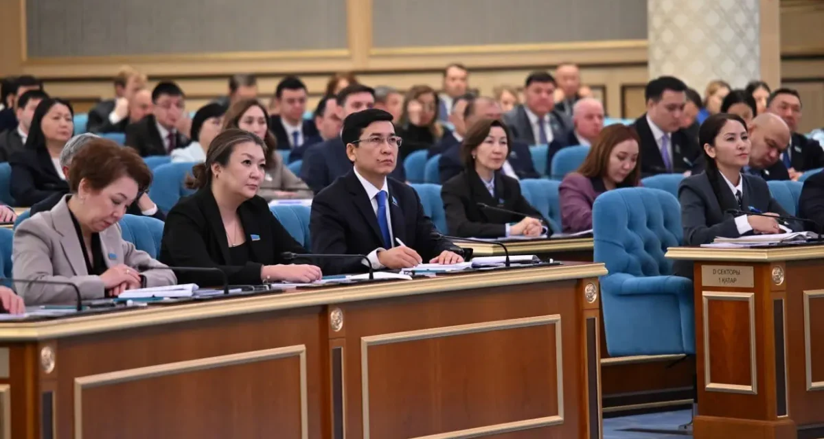Тоқаев шағын және орта бизнесті дамыту жөніндегі жоспарды тапсырды