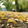 25 қазанда Қазақстанда ауа райы қандай болады: облыстар бойынша болжам