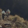 Алматыда тауда адасқан екі жасөспірімді құтқарушылар тауып алды