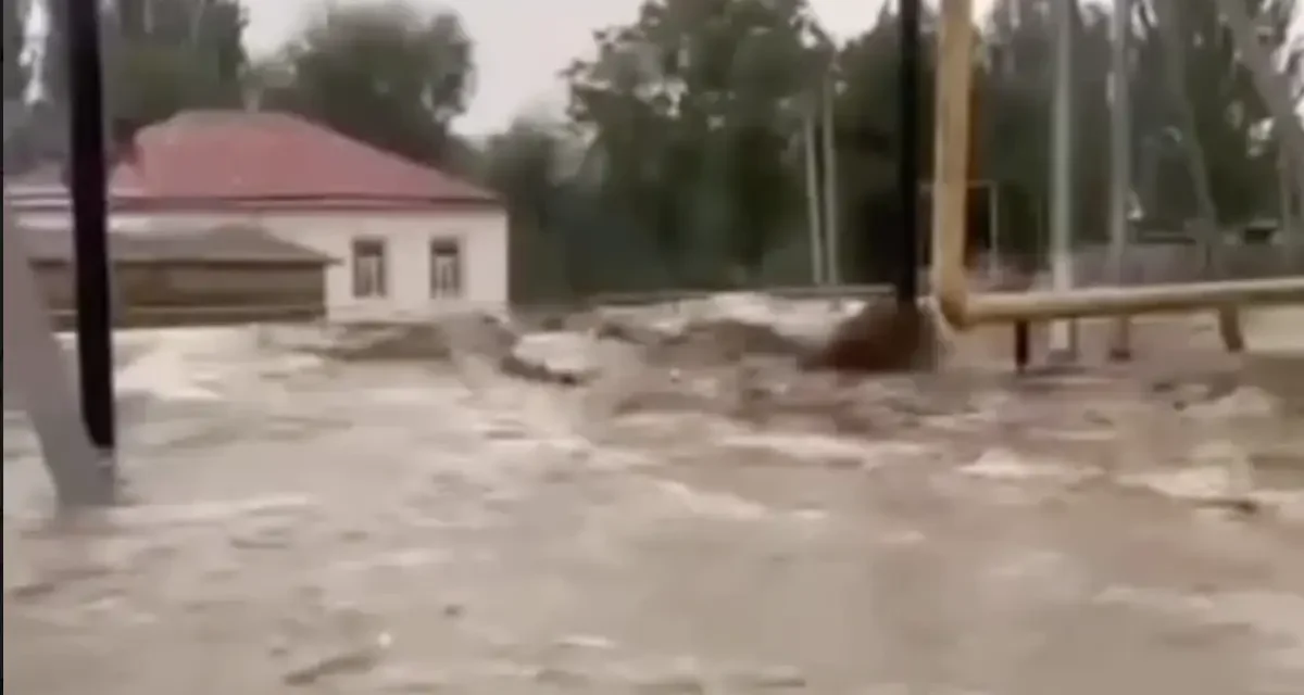 Түркістан облысын сел басты: Қазығұрттағы ауылдар су астында қалды
