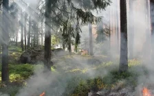 Қазақстанда үш орман өрті тіркеліп, барлығы сөндірілді
