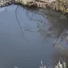 Ертіске лас су ағып жатыр: Семейдегі экологиялық дабыл 