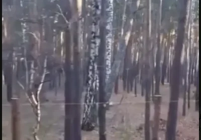 «Бурабайды бөліп алды ма?»: Орманды қоршап, құрылыс бастағандар халықтың ашуын тудырды