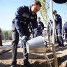 «Қазақмыс» Балқаштағы қоғамдық кеңістікті жасылдандырып жатыр