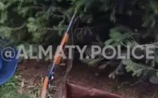 Алматыда қоқыс арасынан тасталған мылтық табылды