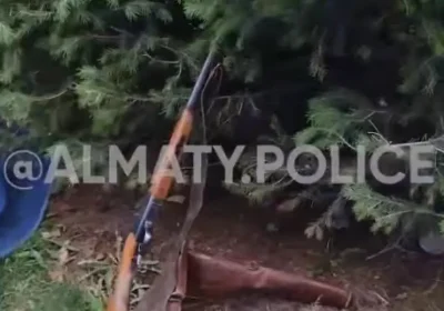 Алматыда қоқыс арасынан тасталған мылтық табылды