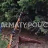 Алматыда қоқыс арасынан тасталған мылтық табылды